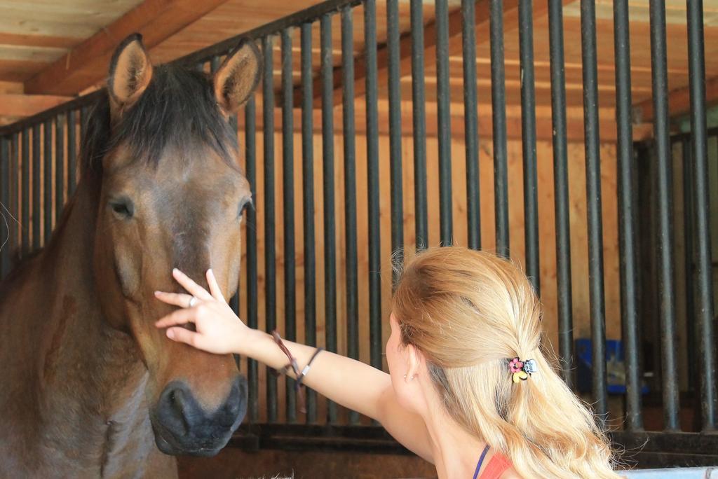 Stajnia Sarnowek Nad Jeziorem Rozany Rozajny Wielkie Bagian luar foto