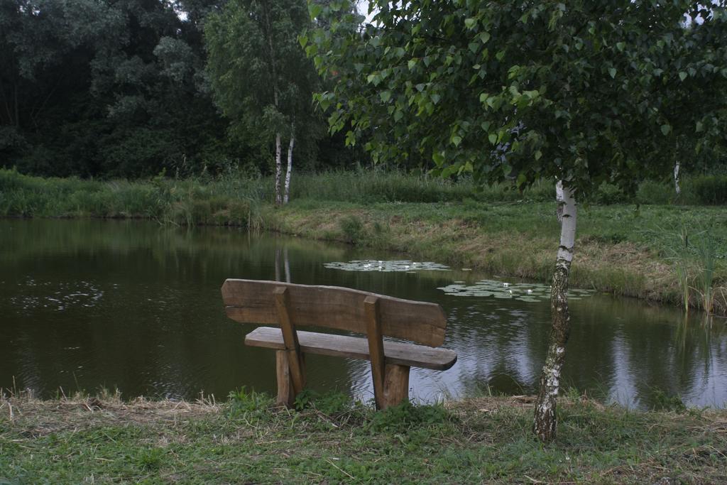 Stajnia Sarnowek Nad Jeziorem Rozany Rozajny Wielkie Bagian luar foto