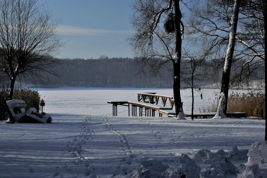 Stajnia Sarnowek Nad Jeziorem Rozany Rozajny Wielkie Bagian luar foto