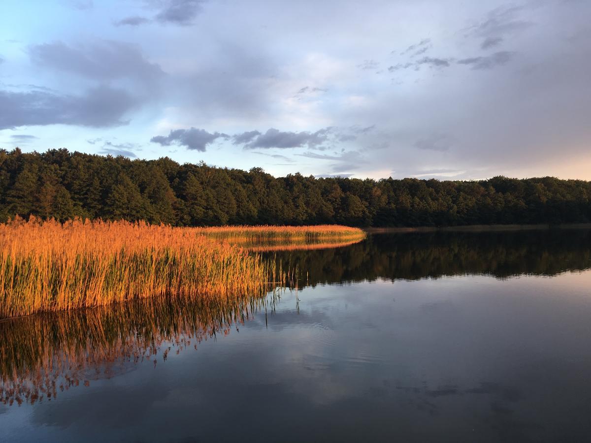 Stajnia Sarnowek Nad Jeziorem Rozany Rozajny Wielkie Bagian luar foto